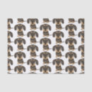 Recherche de tissue cadeau emballages Chien