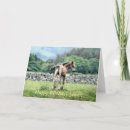 Recherche de colts vœux cartes Chevaux