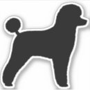 Recherche de jouet coques Caniche