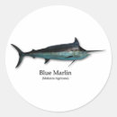 Recherche de marlin autocollants Bleu