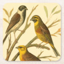 Recherche de oiseau dessous de verres Arrière plan beige