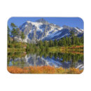 Recherche de loisirs magnets Forêt