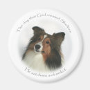 Recherche de étagère magnets Collie miniature