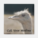 Recherche de autruches magnets Nature