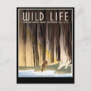 Recherche de la vie sauvage cartes postales Nature