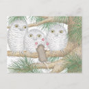 Recherche de jonglerie cartes postales Pour tous