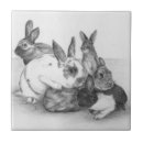 Recherche de dessin de lapin carreaux Animaux
