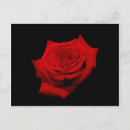 Recherche de hybride cartes postales Plante