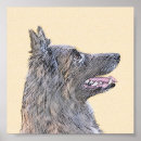 Recherche de berger belge posters Tervuren