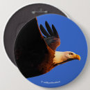 Recherche de aigle badges Rapace
