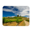 Recherche de vignoble magnets Colline