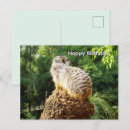 Recherche de alerte vœux cartes Suricate