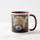 Recherche de panda rouge tasses Pandas
