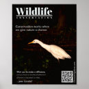 Recherche de conservation de faune posters Nature