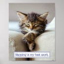 Recherche de funny cat posters Kitten