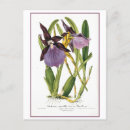 Recherche de orchidée tropicale cartes postales Floral