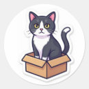 Recherche de chat dans une boîte autocollants De chat drôle