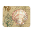 Recherche de coquillage magnets Corail