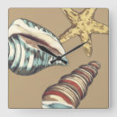 Recherche de coquilles de mer horloges Plage