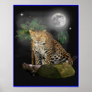 Recherche de tiger posters Animaux