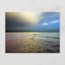 Recherche de lamantin cartes postales La floride