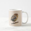 Recherche de merle classiques tasses Nature
