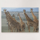 Recherche de namibie puzzles Nature