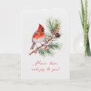 Recherche de oiseau rouge vœux cartes Hiver