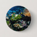 Recherche de barrière badges Barrière de corail