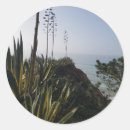 Recherche de algarve autocollants Plage