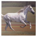 Recherche de fonctionnement carreaux Cheval