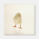 Recherche de pelucheux magnets Animal