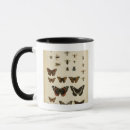 Recherche de chenille tasses Insectes