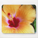 Recherche de mousepad ketmie tapis souris Flore