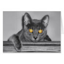Recherche de chat gris vœux cartes Patte