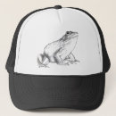 Recherche de grenouille casquettes Faune