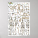 Recherche de marionnette posters Pour tous