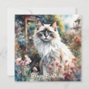 Recherche de ragdoll vœux cartes Poupée