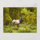 Recherche de mâles cartes postales Superstock