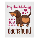Recherche de dachshund posters Dog