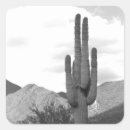 Recherche de cactus saguaro autocollants Du désert