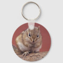Recherche de chipmunk porteclés Rongeur