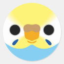 Recherche de visage femelle Mignon