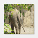 Recherche de butin magnets Amusement
