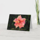 Recherche de salutations générales vœux cartes Rose