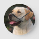Recherche de domestiqué art Chien