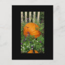 Recherche de citrouille halloween cartes postales Orange