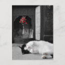 Recherche de éclaboussure de couleur cartes postales Noir et blanc