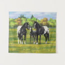 Recherche de appaloosa Chevaux appaloosa
