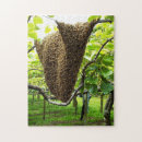 Recherche de ruche puzzles Abeille